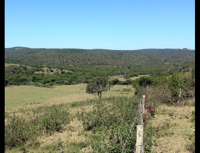 226HA FARM FOR SALE IN KOMGA RURAL
